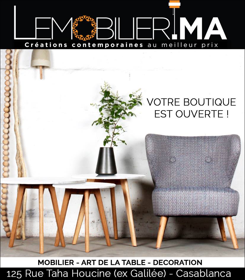 Logo de lemobilier 209
