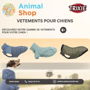 images-animalerie-vetements-pour-chiens-06731