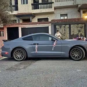 images-voitures-doccasion-mustang-ecoboost-06871