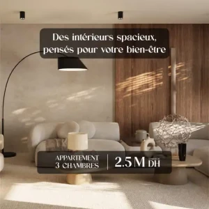 images-appartements-a-vendre-studios-a-vendre-06990