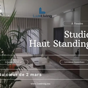 images-studios-a-vendre-07008