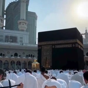 video-omra-07338