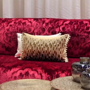 video-salons-marocain-10585