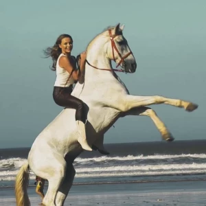 video-shooting-chevaux-10623