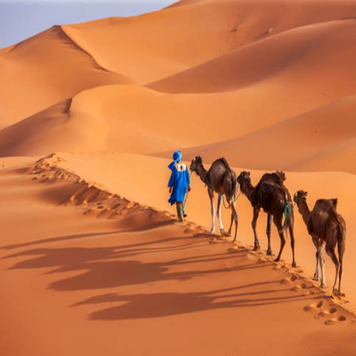 images-trips-casablanca-maarif-10155