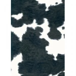 images-papeterie-papiers-art-graphique-papier-et-accessoires-de-serviettage-casablanca-belvedere-10230